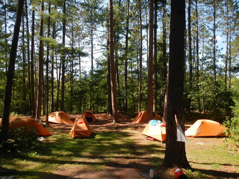 The image shows a campsite in a forest. Several orange tents are scattered among the trees, suggesting a group of people camping. The area is wooded with tall trees, and the ground is covered with grass and fallen leaves. The scene is peaceful and outdoorsy.
